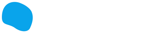 Bon Intelligence logo